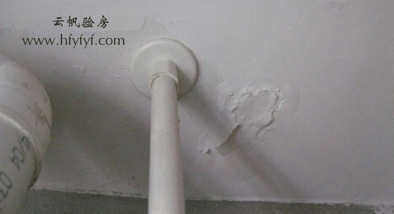 �l(w��i)���g�����ˮ�n��Ƥ�F(xi��n)��