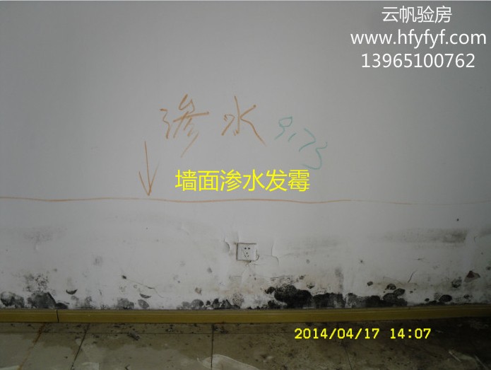 �҃�(n��i)����Bˮ��5��